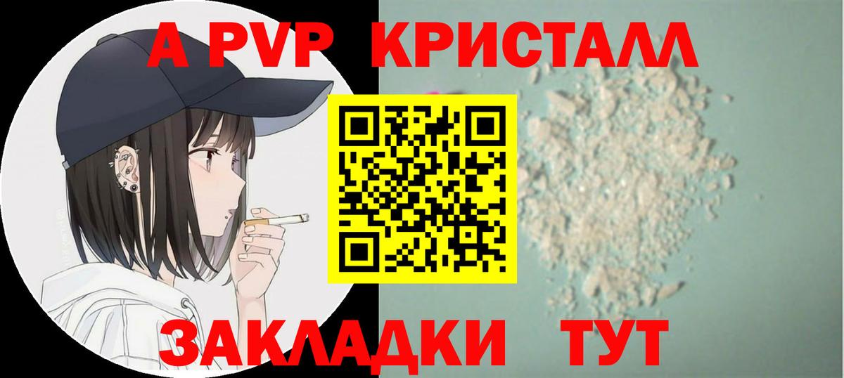 A PVP СК Волгодонск