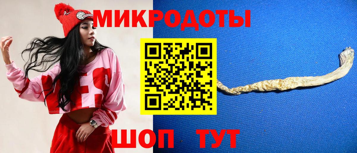 Волгодонск  Псилоцибиновые грибы Psilocybe  Вход с VPN  Галлюциногенные грибы Psilocybine cubensis 